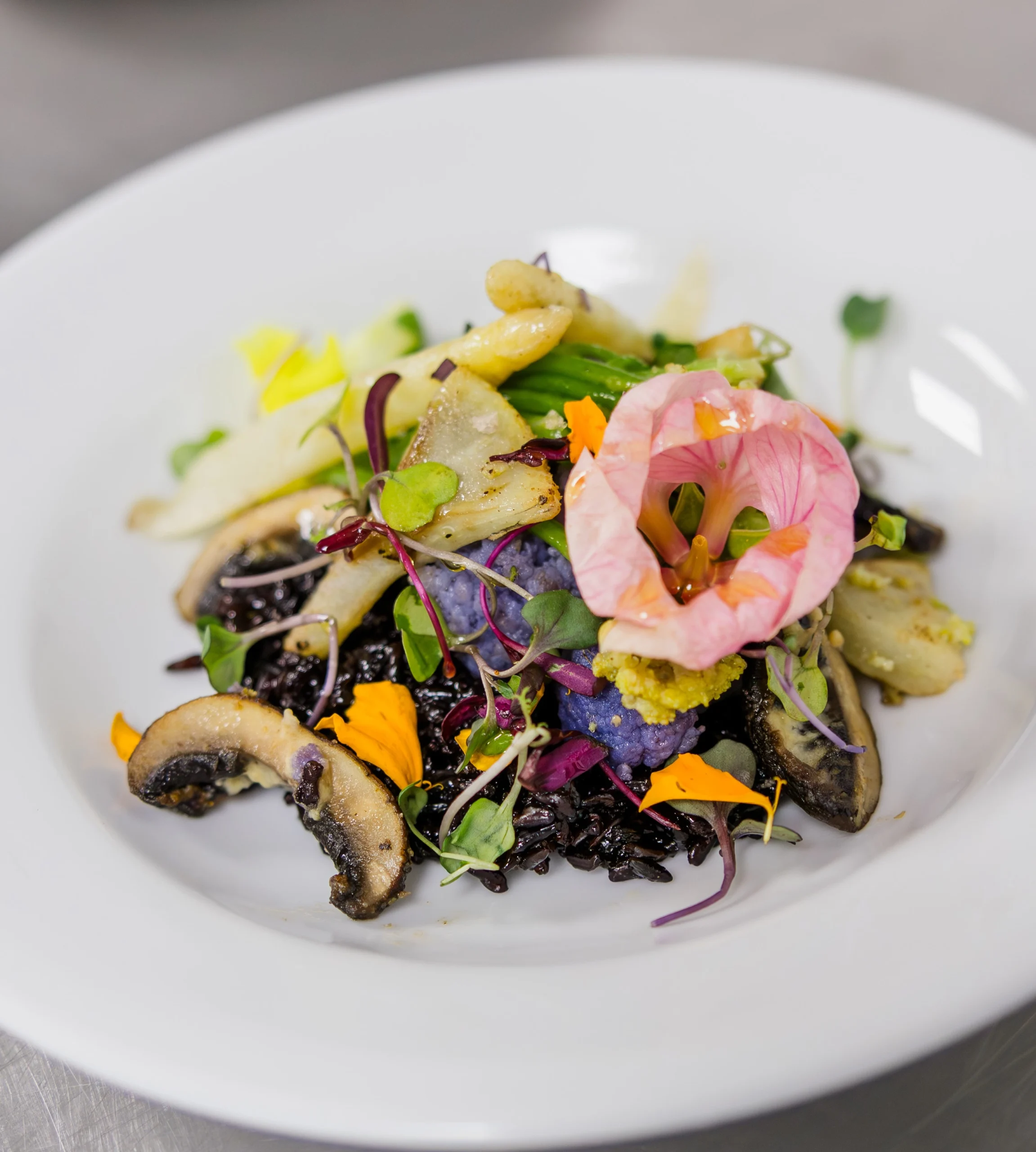 Gourmet Caribbean fine dining dish served at an exclusive wedding catering in Puerto Rico