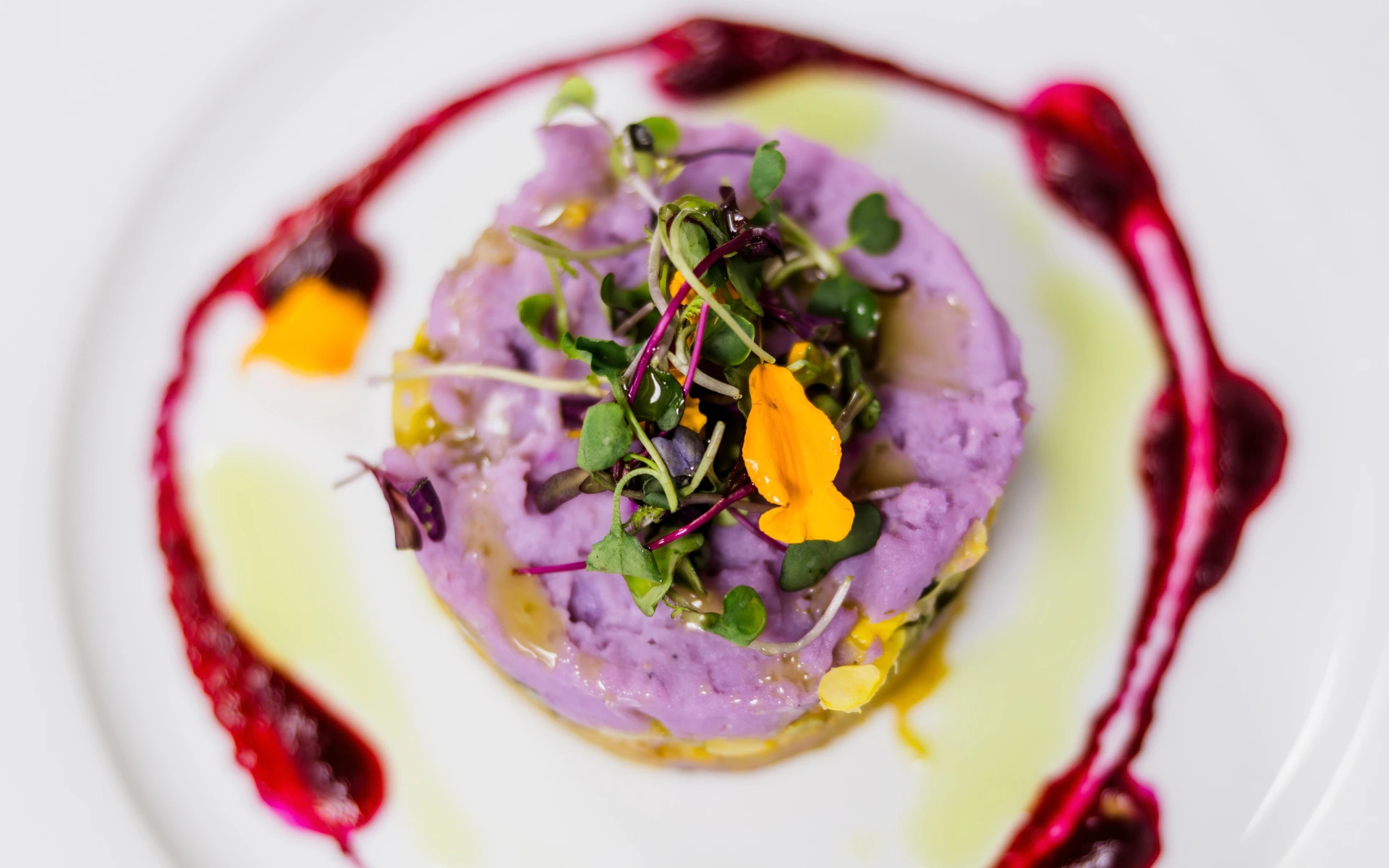 Gourmet dish served at an elegant brunch to celebrate Women’s Day